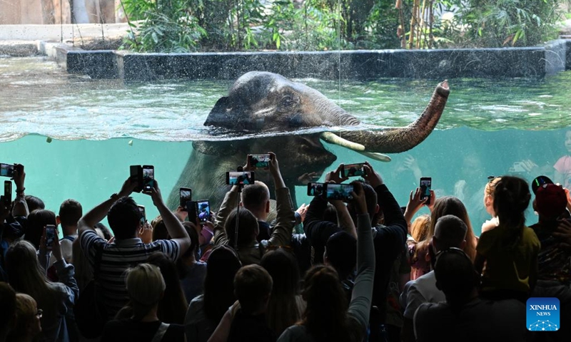 Elephant Taru swims at the newly-built pavilion of Orientarium in the Zoo Lodz, Poland, on May 5, 2022.(Photo: Xinhua)