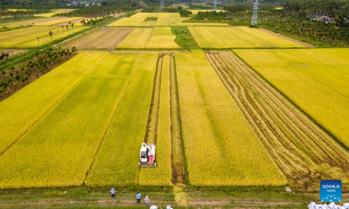 Aerial photo taken on May 13, 2022 shows farmers reaping rices in Beishan Village of Boao Township in Qionghai, south China's Hainan Province. Photo:Xinhua