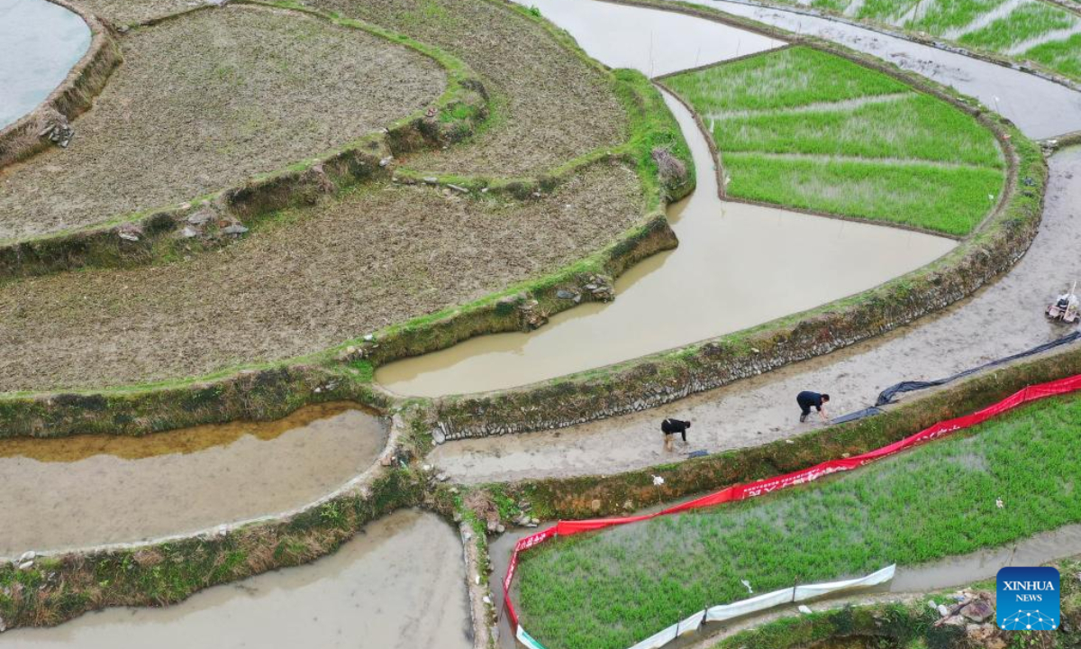 Aerial photo taken on May 13, 2022 shows villagers farming in the field in Liangtian Village of Congjiang County in Qiandongnan Miao and Dong Autonomous Prefecture, southwest China's Guizhou Province. Photo:Xinhua