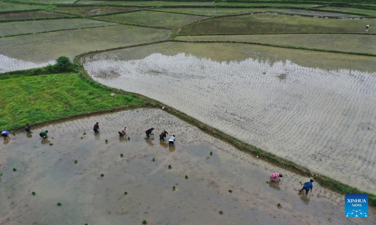 Aerial photo taken on May 13, 2022 shows farmers transplanting rice seedlings in the field in Dongma Village of Xiangxi Tujia and Miao Autonomous Prefecture, central China's Hunan Province. Photo:Xinhua