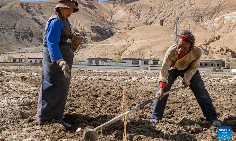 Villagers plant potatoes in a field in Zhaxizom Township in Tingri County, southwest China's Tibet Autonomous Region, May 10, 2022. At an altitude of about 4,200 meters, Zhaxizom is the nearest administrative township to Mount Qomolangma. Due to the high altitude and low temperature, spring farming here does not begin until May.(Photo: Xinhua)