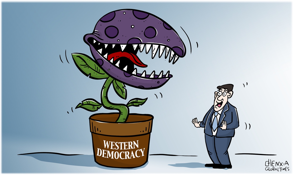 Western democracy. Illustration: Chen Xia/GT