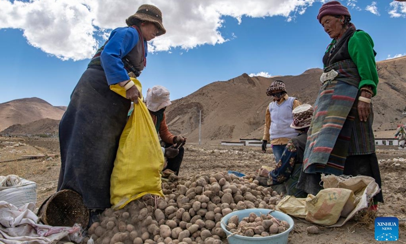 Villagers work in a field in Zhaxizom Township in Tingri County, southwest China's Tibet Autonomous Region, May 10, 2022. At an altitude of about 4,200 meters, Zhaxizom is the nearest administrative township to Mount Qomolangma. Due to the high altitude and low temperature, spring farming here does not begin until May.(Photo: Xinhua)