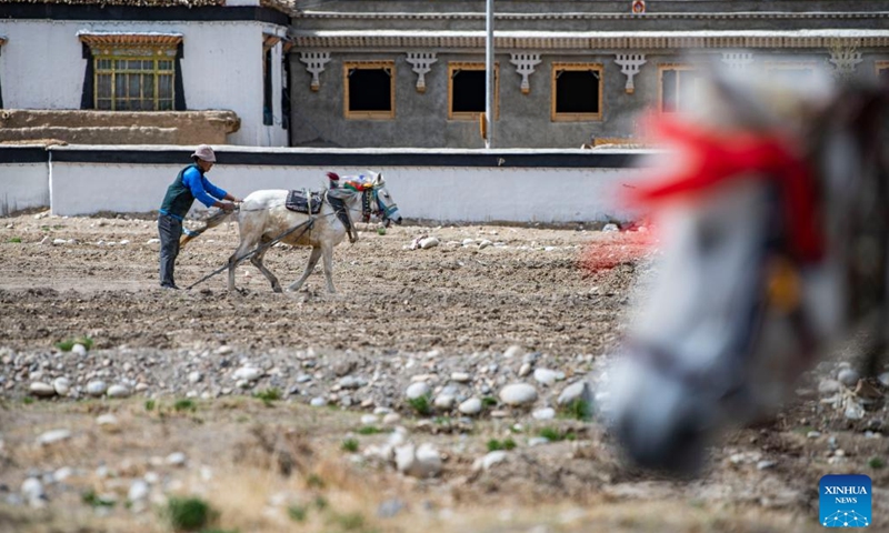 A villager works in a field in Zhaxizom Township in Tingri County, southwest China's Tibet Autonomous Region, May 10, 2022. At an altitude of about 4,200 meters, Zhaxizom is the nearest administrative township to Mount Qomolangma. Due to the high altitude and low temperature, spring farming here does not begin until May.(Photo: Xinhua)