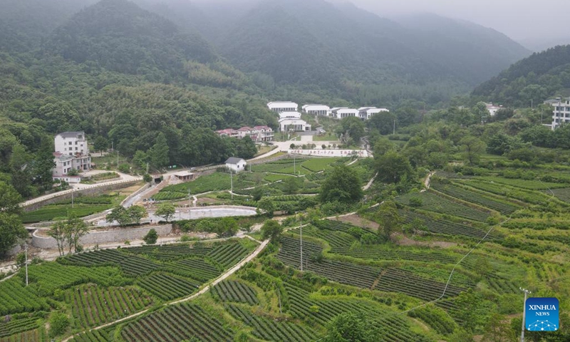 Aerial photo taken on May 11, 2022 shows a tea garden in Dawan Village of Jinzhai County, east China's Anhui Province. Located in the deep of Dabieshan Mountain region, Jinzhai County is a famous tea planting and production base. During the past years, the county has been actively promoting industrial integration and agro-tourism to boost local people's income.(Photo: Xinhua)