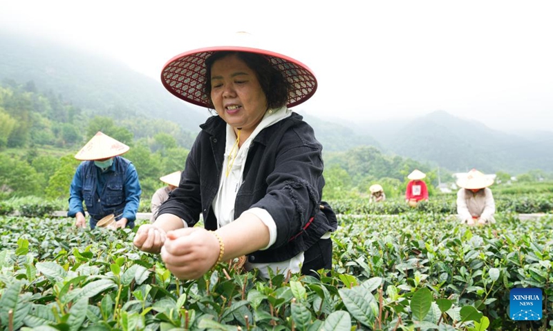 Villagers pick tea leaves at a tea garden in Dawan Village of Jinzhai County, east China's Anhui Province, May 11, 2022. Located in the deep of Dabieshan Mountain region, Jinzhai County is a famous tea planting and production base. During the past years, the county has been actively promoting industrial integration and agro-tourism to boost local people's income.(Photo: Xinhua)