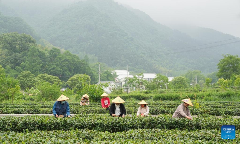 Villagers pick tea leaves at a tea garden in Dawan Village of Jinzhai County, east China's Anhui Province, May 11, 2022. Located in the deep of Dabieshan Mountain region, Jinzhai County is a famous tea planting and production base. During the past years, the county has been actively promoting industrial integration and agro-tourism to boost local people's income.(Photo: Xinhua)