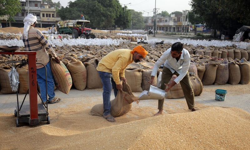 Workers fill bags with wheat at a market in Amritsar district of India's northern Punjab state, April 19, 2022.Photo:Xinhua