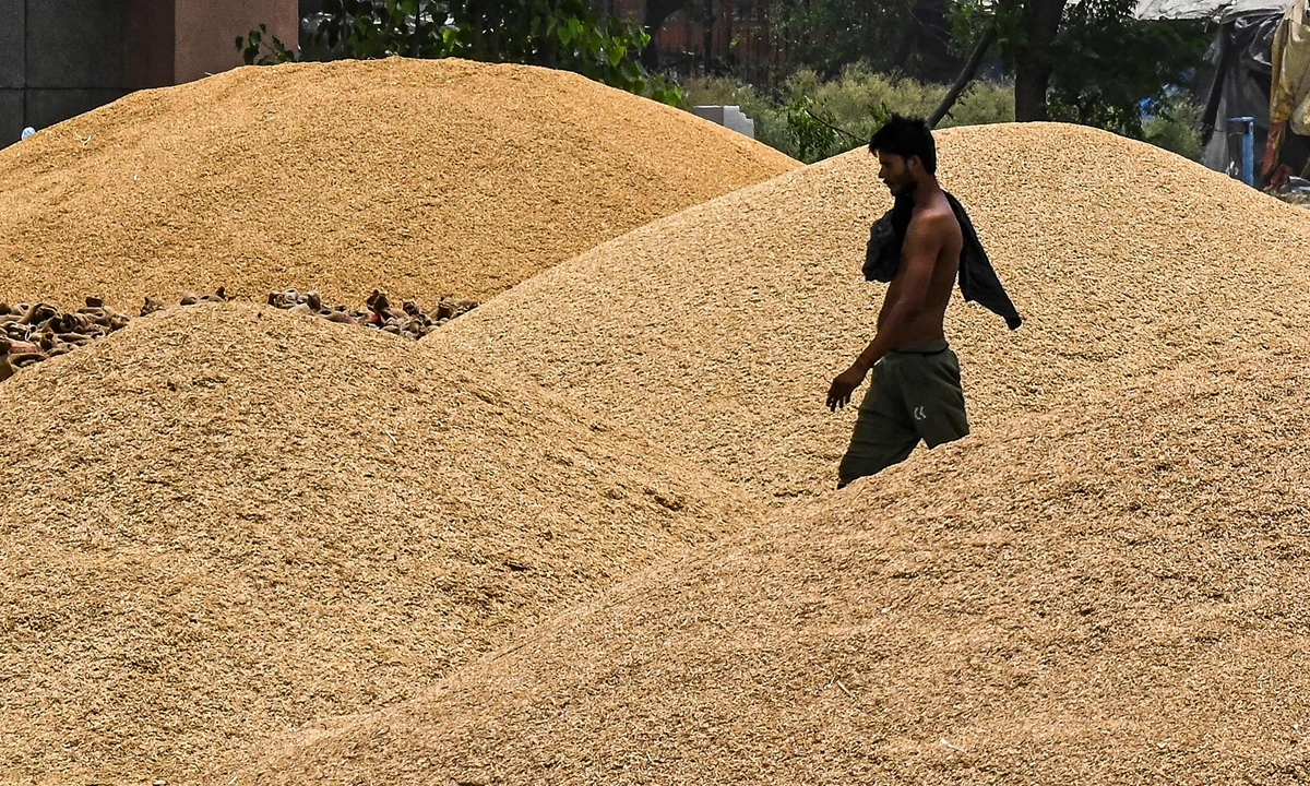 A man walks through piles of wheat at a wholesale grain market in New Delhi, India, on May 18, 2022. The US hopes that India will reverse its decision to ban exports of wheat, which will worsen global shortages of the commodity, Washington's top diplomat to the United Nations said. Photo: VCG