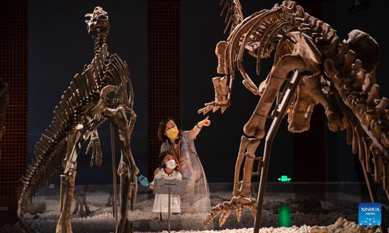 People watch dinosaur fossils at Nanjing Museum in Nanjing, east China's Jiangsu Province, May 17, 2022. The International Museum Day, which falls on May 18, is being celebrated with a variety of online and offline activities across China.(Photo: Xinhua)