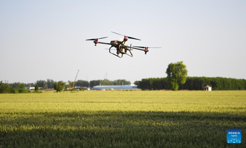 A drone is used to manage a wheat field in Lizhuang Village, Senggu Township, Yanjin County of Xinxiang City, central China's Henan Province, May 17, 2022. In Yanjin County, a group of agricultural experts reached out to local farmers, offering instructions on farmland management, to help them attain a bumper harvest.(Photo: Xinhua)