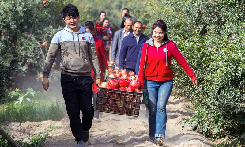 Pishan county residents harvest pomegranates. Photo: Adili Nadir