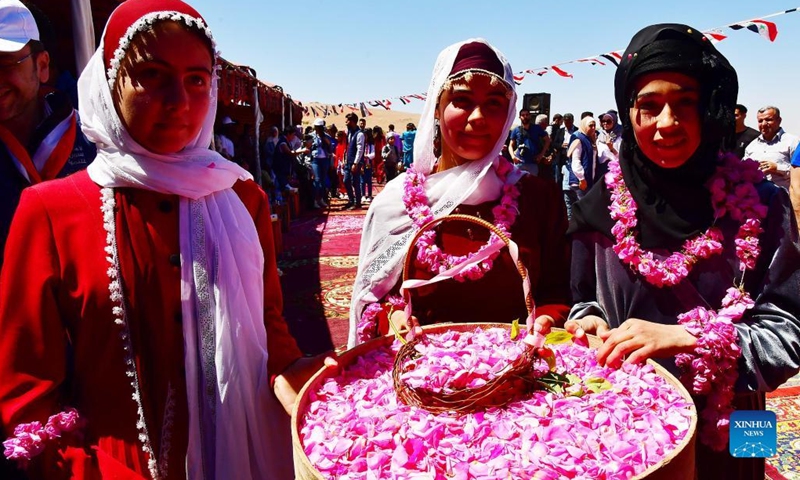 Syrian people take part in the picking process of the famous Damask, or Damascene Rose, in the town of al-Marah, north of the capital Damascus, Syria, on May 19, 2022.(Photo: Xinhua)