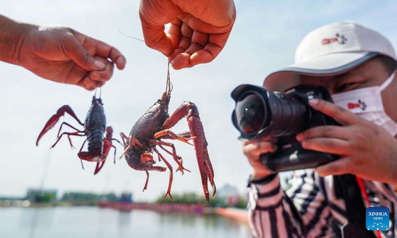 A worker shows crayfish in front of camera during an event celebrating the harvest season of crayfish in Xuyi County of Huai'an, east China's Jiangsu Province, May 18, 2022. Crayfish is one of the renowned specialties in Xuyi County.(Photo: Xinhua)