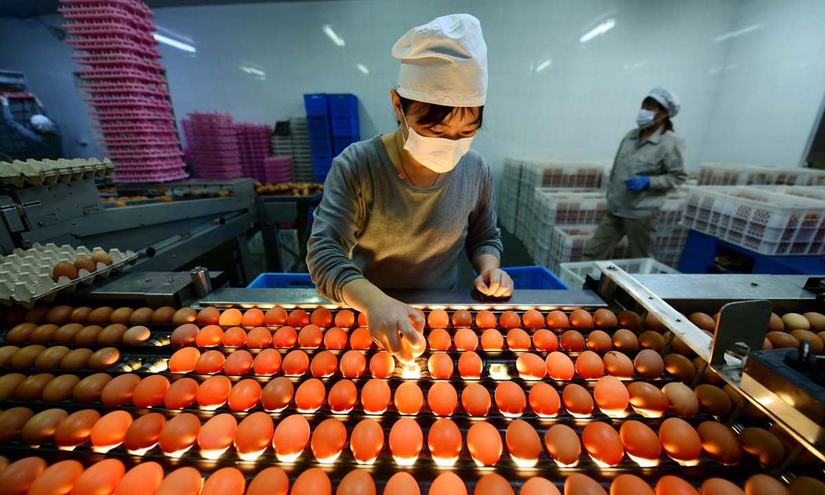 A worker sorts eggs into different grades at a modern chicken farm in East China's Jiangsu Province on May 22, 2022. A 13.1-percent increase in egg prices was behind a 2.1-percent year-on-year increase in the April consumer price index (CPI), data from the National Bureau of Statistics showed in mid-May. But China's overall CPI remains stable, officials said. Photo: VCG