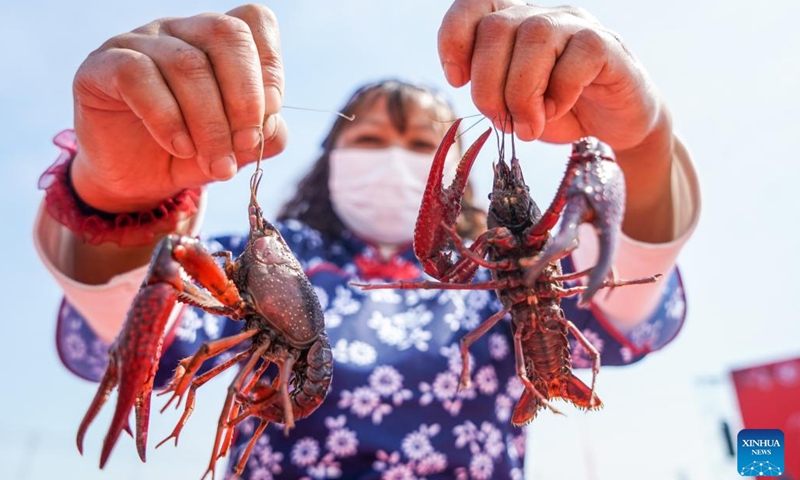 A worker shows crayfish during an event celebrating the harvest season of crayfish in Xuyi County of Huai'an, east China's Jiangsu Province, May 18, 2022. Crayfish is one of the renowned specialties in Xuyi County.(Photo: Xinhua)