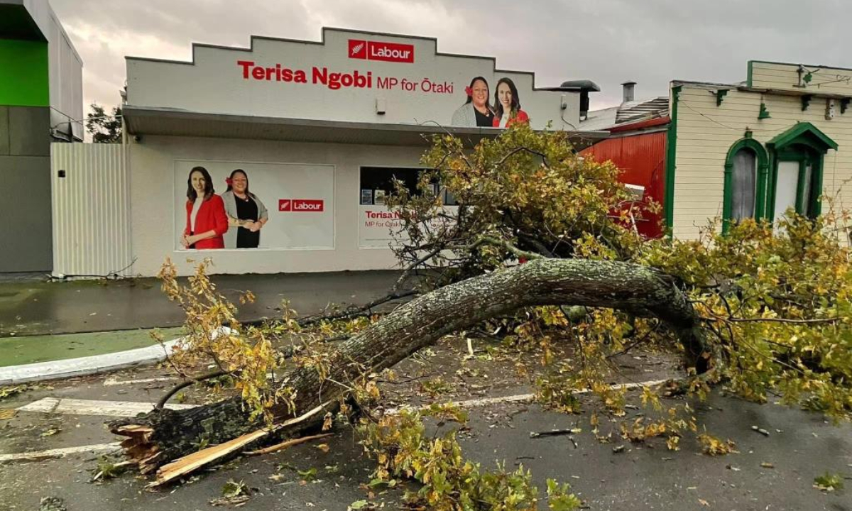 Photo shows a fallen tree after a tornado in Levin, New Zealand, May 20, 2022. A tornado swept through the town of Levin, some 90 km north of the New Zealand capital Wellington, leaving trees downed and roofs torn apart from houses early morning of Friday, local media reported. Photo:Xinhua