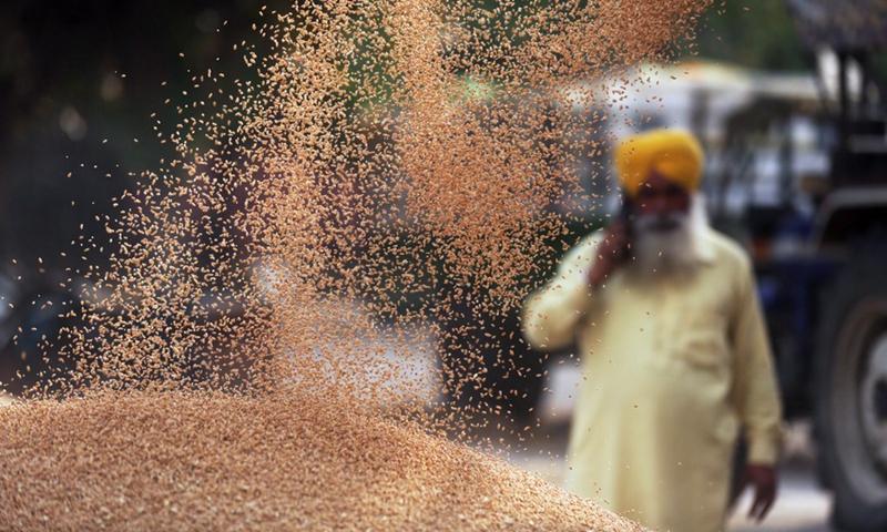 A farmer talks on his cell phone as his freshly harvested wheat is unloaded from a trolley at the grain market in Amritsar district of India's northern Punjab state, April 19, 2022.(Photo: Xinhua)