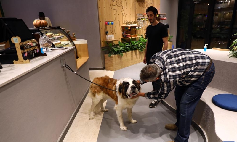 A dog is seen at a dog cafe in Giza, Egypt, on May 15, 2022.Photo:Xinhua