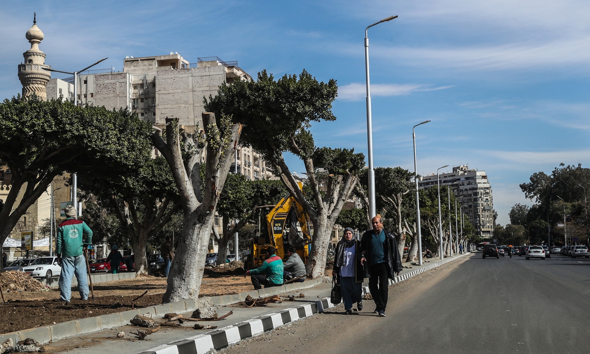 Partially cut-off trees on a street in Heliopolis, Cairo, capital of Egypt on January 27, 2020 Photo: AFP