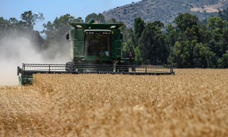 A combine harvester harvests a wheat field in the hula valley near northern Israeli city of Kiryat Shemona on May 22, 2022.Photo:Xinhua