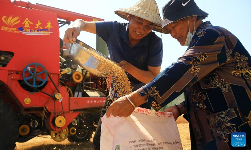 Farmers harvest wheat in the fields in Lieshan Township of Huaibei, east China's Anhui Province, May 23, 2022.(Photo: Xinhua)