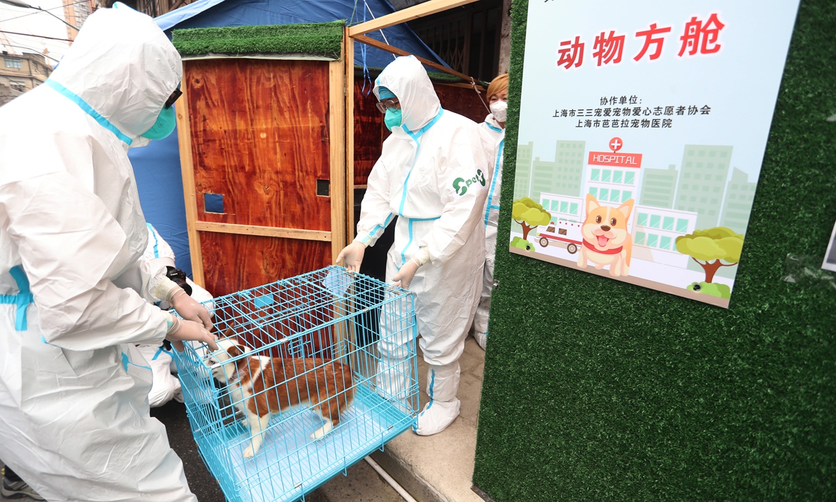 Volunteers take a pet dog home on May 26, 2022, when Shanghai's first 