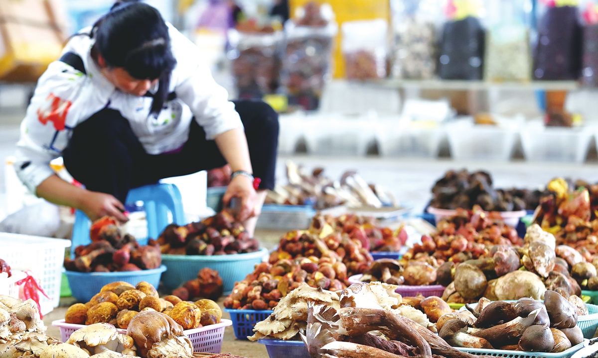A vendor sorts mushrooms at the Mushuihua market, China's largest wild mushroom trading venue, in Kunming, Southwest China's Yunnan Province on May 26, 2022. Different wild mushrooms are hitting the market as the harvest season approaches. Photo: VCG
