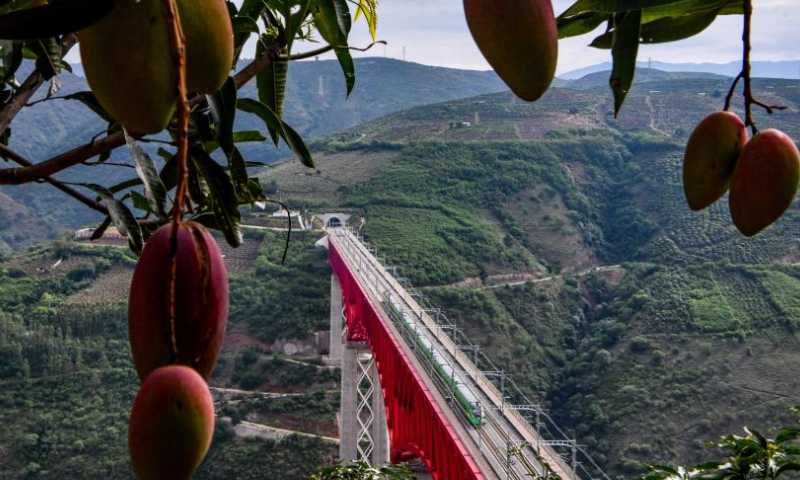 A Fuxing bullet train runs through Yuanjiang grand bridge on the China-Laos Railway in southwest China's Yunnan Province, June 1, 2022. The China-Laos Railway, half a year into its operation, has delivered more than 4 million tonnes of freight as of Thursday, China's railway operator said.

The transport volume of cross-border cargo came in at 647,000 tonnes during the period, according to the China State Railway Group Co., Ltd.

The train line also handled over 3.2 million passenger trips, said the operator.

Since December 2021, 21 Chinese regions have designated cross-border trains for freight transport along the railway, with goods including fertilizers, daily necessities, electronics and fruits.

As a landmark project under the Belt and Road Initiative, the 1,035-km China-Laos Railway connects China's Kunming with the Laotian capital Vientiane. (Xinhua/Jiang Wenyao)