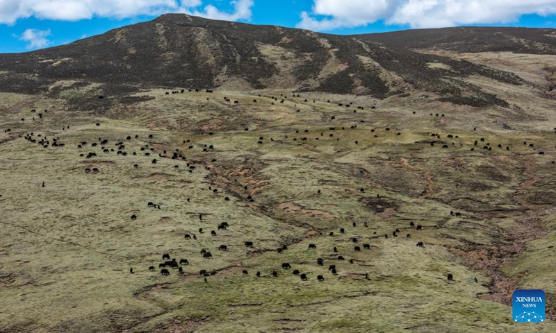 Aerial photo taken on May 25, 2022 shows the view of Lhato wetland in Konjo County of Qamdo, southwest China's Tibet Autonomous Region.(Photo: Xinhua)