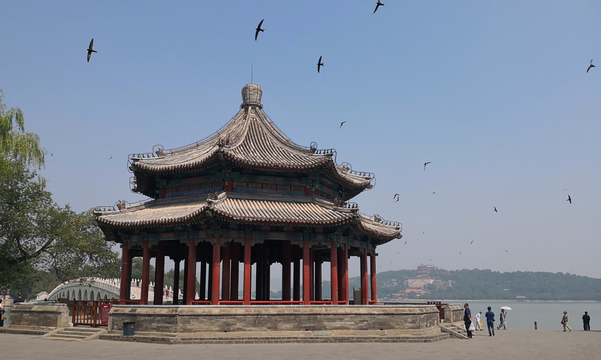 Swifts fly over the Summer Palace in Beijing on June 18, 2019.Photo: VCG