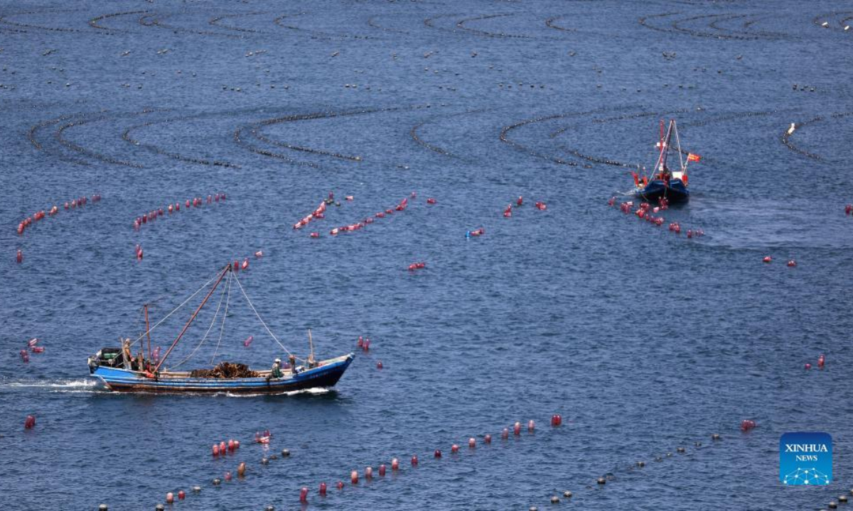 Fishermen work at a marine ranch in Haiyangdao Township of Changhai County in Dalian, northeast China's Liaoning Province, June 1, 2022. More than 10 state-level marine ranch demonstration zones have been approved in Changhai County since 2016. Photo:Xinhua
