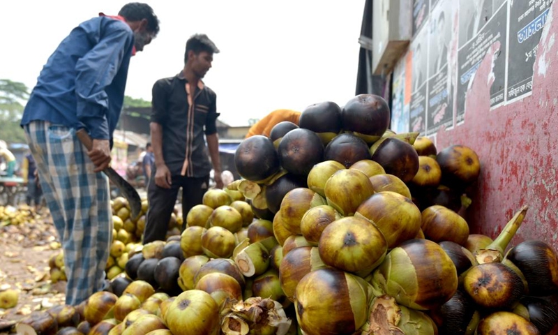 Photo taken on May 29, 2022 shows bunches of palmyra palm fruits at a wholesale market in Dhaka, Bangladesh. (Xinhua)