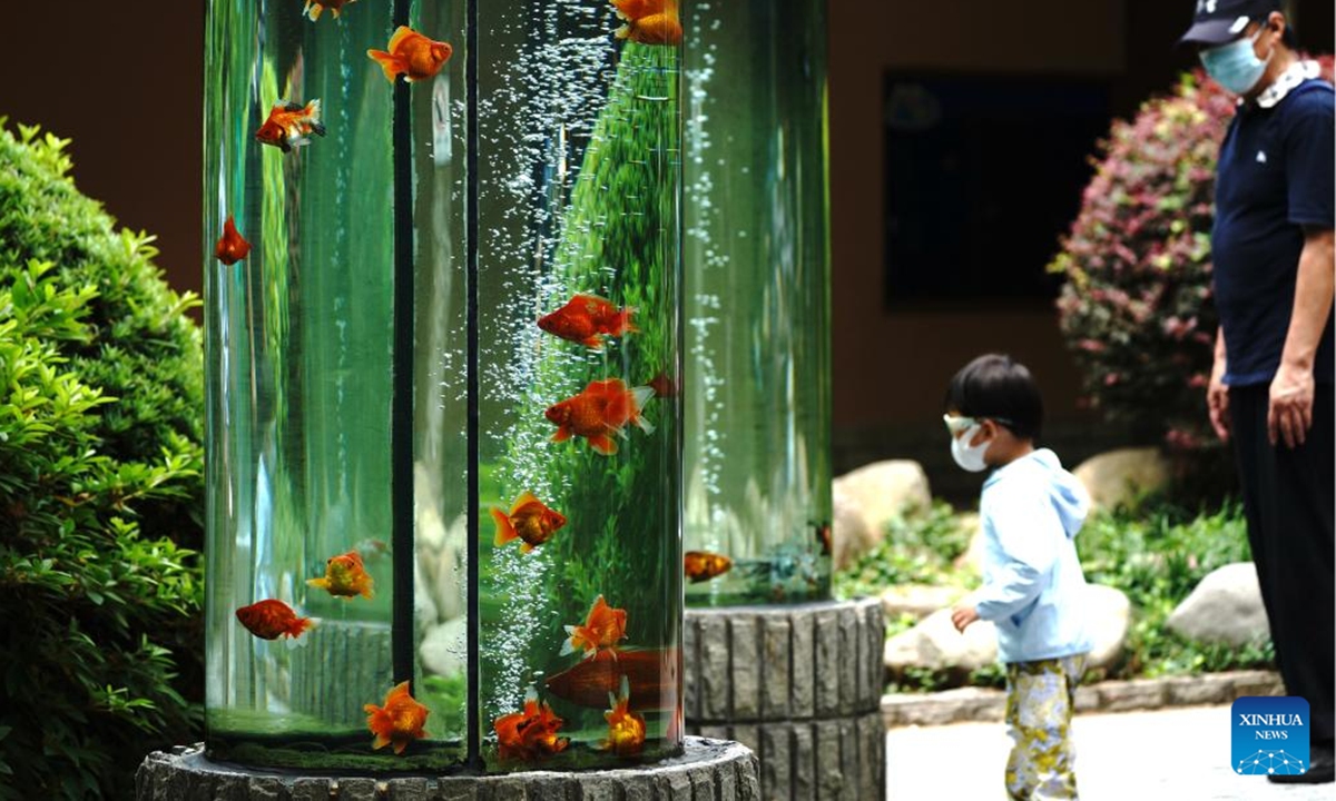 Visitors view goldfish at the Shanghai Zoo in east China's Shanghai, June 2, 2022. The Shanghai Zoo reopened to welcome tourists on Thursday. (Xinhua/Zhang Jiansong)