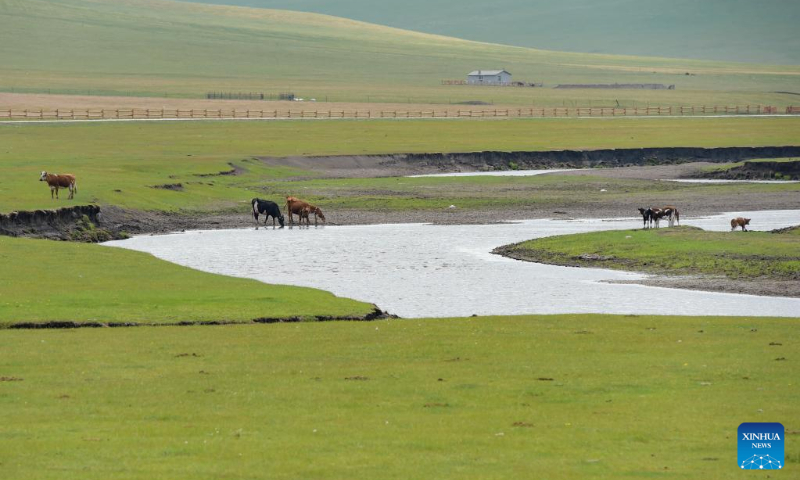 Photo taken on June 10, 2022 shows scenery along the Mergel Gol River in Hulun Buir, north China's Inner Mongolia Autonomous Region. (Xinhua/Li Zhipeng)