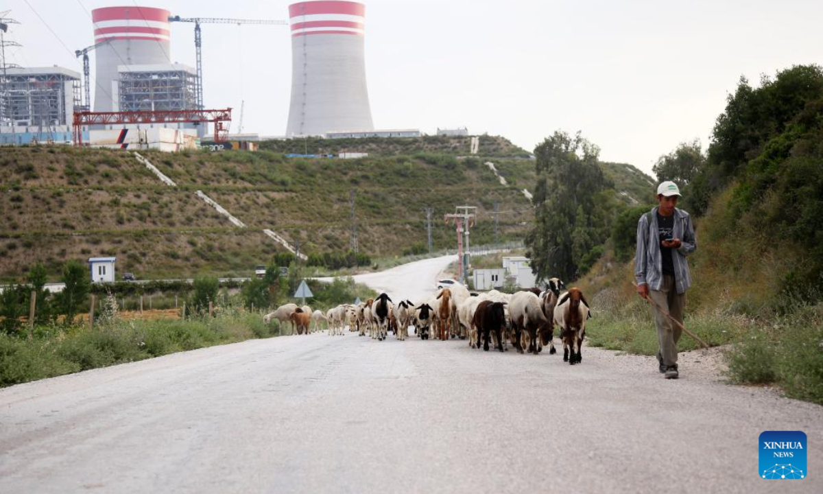 A shepherd guards his herd near the Emba Hunutlu power station in the village of Sugozu in Adana province, southern Turkey, June 3, 2022. Faced with chronic drought, farmers in the south of Turkey have turned to a Chinese-funded thermal power plant that provides irrigation water from an environmentally friendly sanitation solution.  Photo: Xinhua