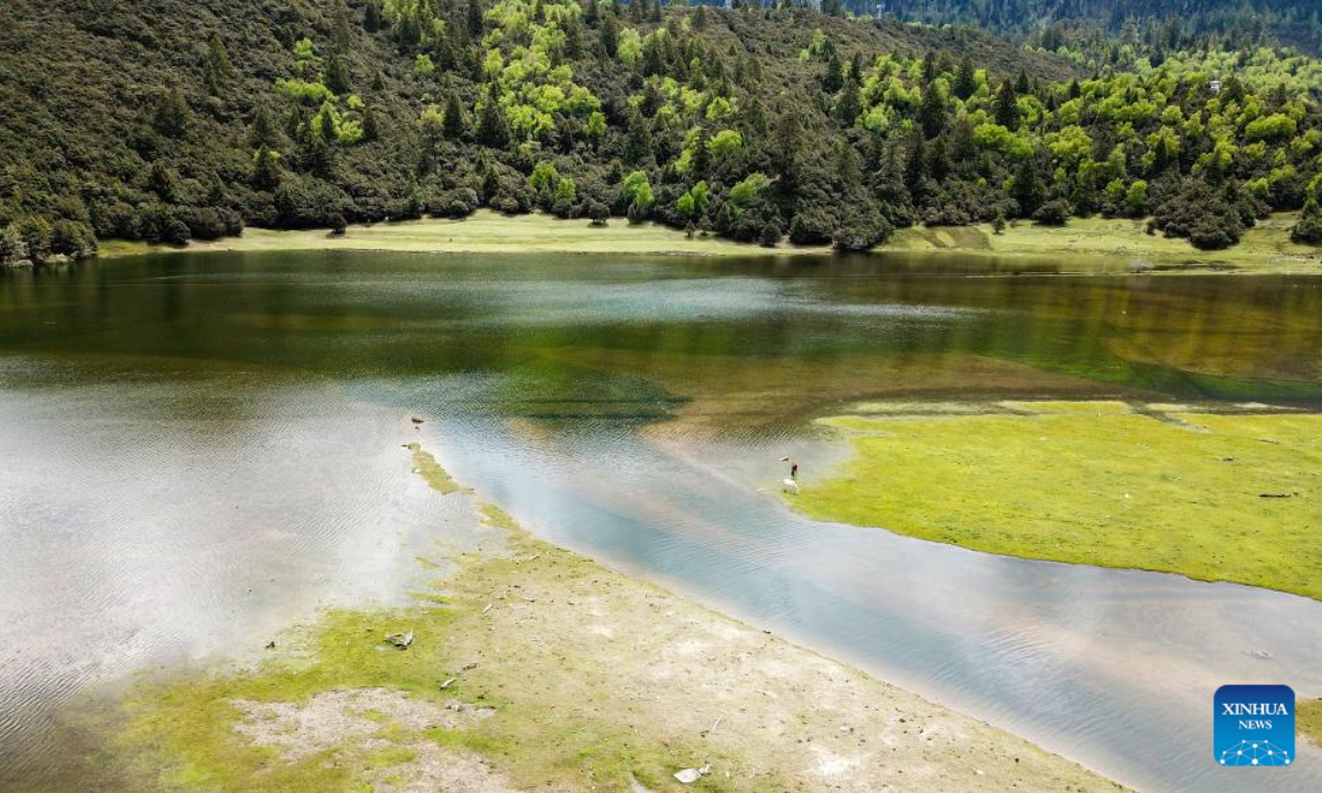 Aerial photo taken on May 31, 2022 shows wetland in Lunang Township in Nyingchi, southwest China's Tibet Autonomous Region. Southwest China's Tibet Autonomous Region remains one of the best environmental areas in the world, with local biodiversity and ecosystems remaining stable in 2021, according to a report issued on June 2, 2022. Photo:Xinhua