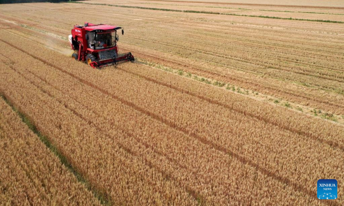Aerial photo taken on June 9, 2022 shows Tang Jumin driving a harvester to reap wheat in the field at Hancun Village in Xingtai, north China's Hebei Province. Photo:Xinhua