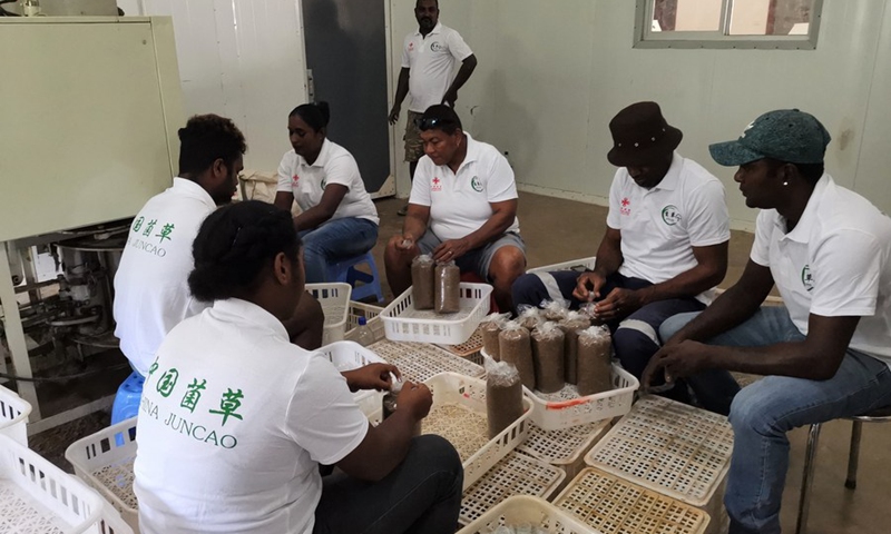 Photo taken on Feb. 17, 2021 shows employees working at the Juncao demonstration center in Nadi, Fiji.(Photo: Xinhua)