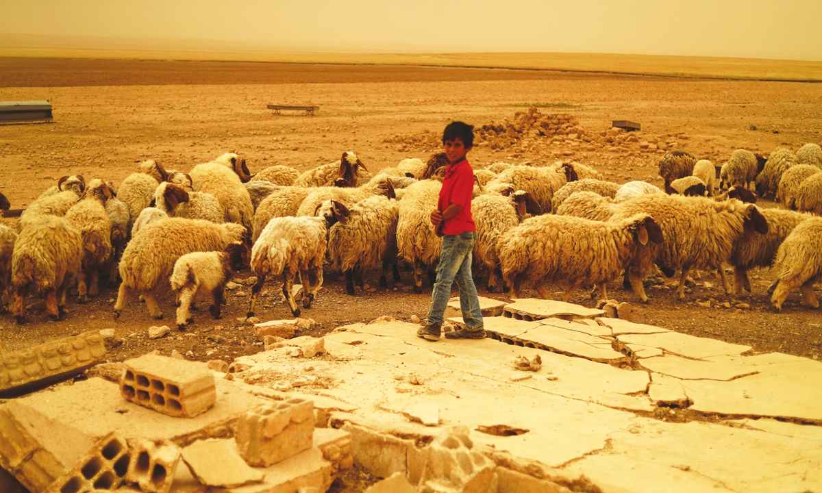 A young boy stands by a herd of sheep during a sandstorm in the countryside of Tabqa on June 2, 2022. Syria is one of the most vulnerable and poorly prepared countries for climate change. Photo: AFP