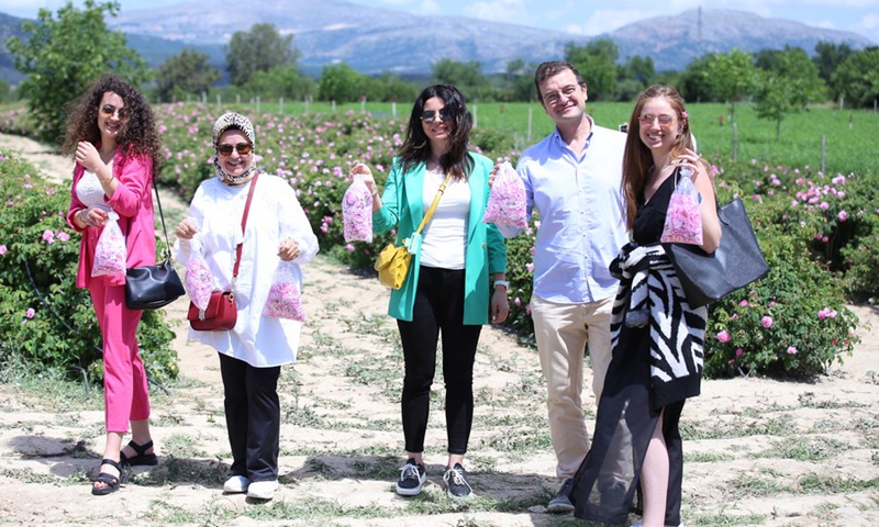 Tourists are visiting a rose garden in Isparta, Turkey, on June 15, 2022.(Photo: Xinhua)