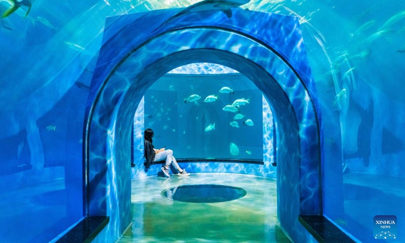 A visitor is seen at the Primorsky Aquarium on the World Oceans Day in Vladivostok, Russia, June 8, 2022. June 8 marks World Oceans Day.(Photo: Xinhua)