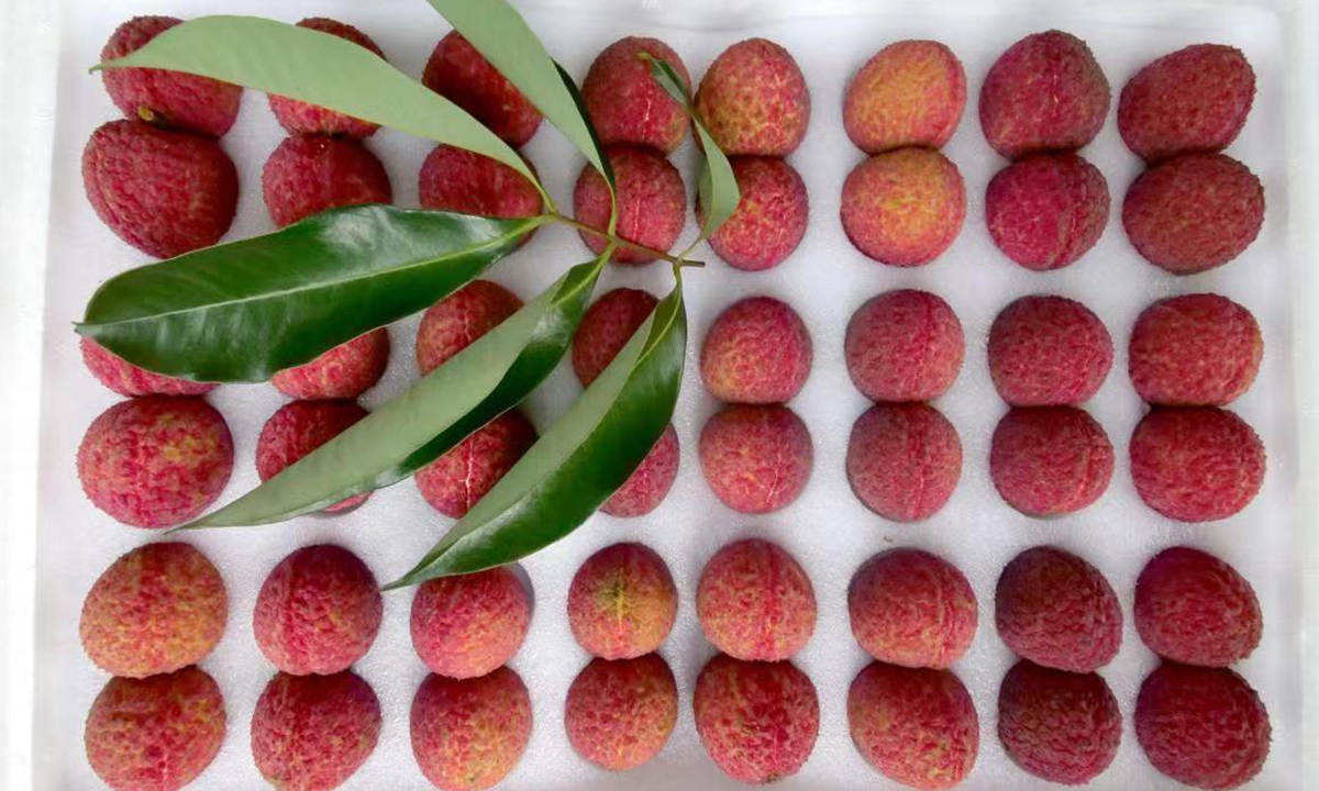 The 24 pairs seedless lychee in carton Photo:Courtesy of Gao Zhaoyin