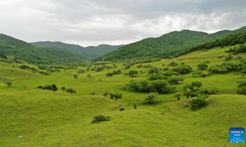 Aerial photo taken on June 7, 2022 shows the view of Guanshan Mountain in Zhangjiachuan Hui Autonomous County of Tianshui, northwest China's Gansu Province.(Photo: Xinhua)