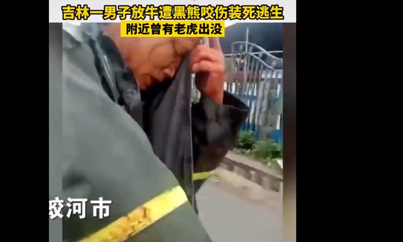 Man in Jilin Province survives by playing dead after being mauled by a bear. Screenshot of Jimu News