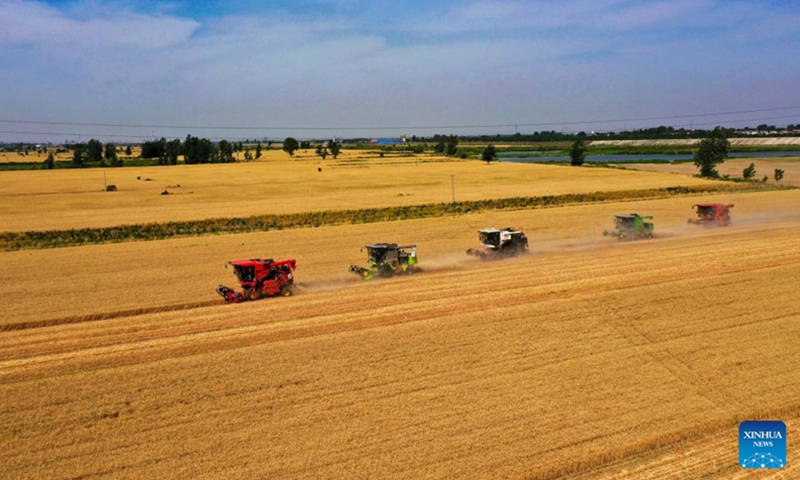 Aerial photo taken on June 8, 2022 shows harvesters working in wheat fields in Xisong Village of Sansi Township, Xingtai City, north China's Hebei Province.(Photo: Xinhua)