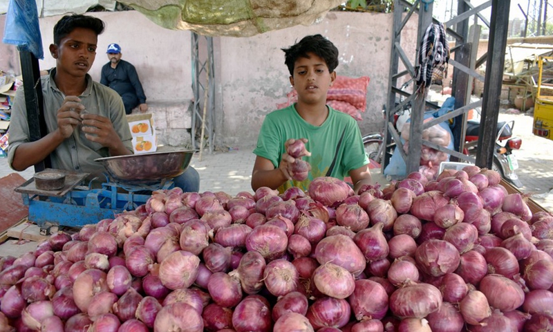 Boys work at a vegetable cart on World Day Against Child Labor in Lahore, Pakistan on June 12, 2022.Photo:Xinhua