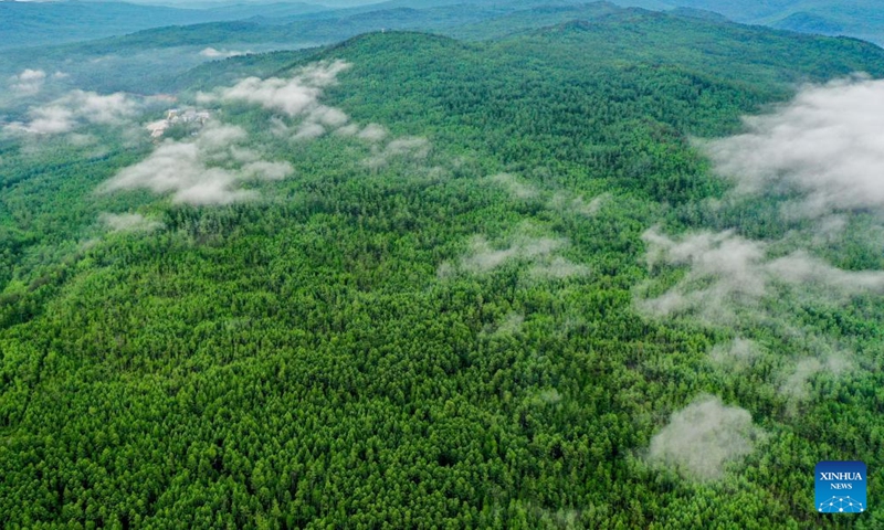 Aerial photo taken on June 12, 2022 shows the view of Mordaga National Forest Park in Hulun Buir, north China's Inner Mongolia Autonomous Region. (Xinhua/Li Zhipeng)
