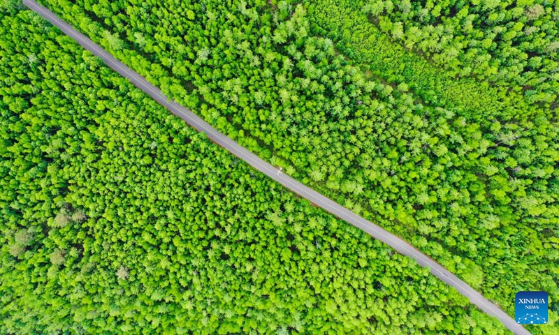 Aerial photo taken on June 12, 2022 shows the view of Mordaga National Forest Park in Hulun Buir, north China's Inner Mongolia Autonomous Region. (Xinhua/Li Zhipeng)