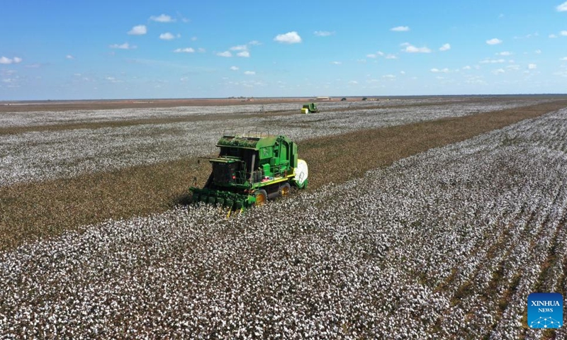 Machines collect cotton at Santa Colomba farm in Bahia state, Brazil, June 14, 2022. Brazil is one of the world's leading cotton producers and exporters.(Photo: Xinhua)